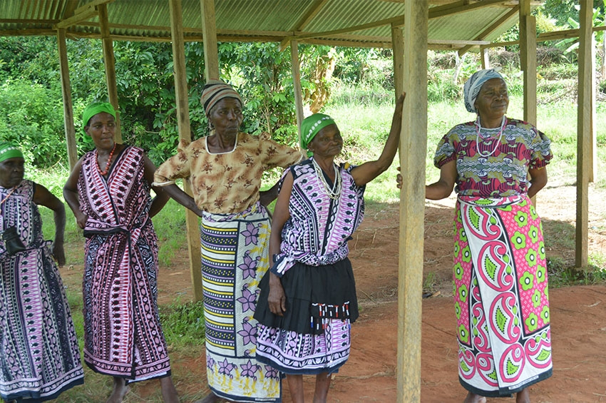 The Tenacious Women of Mlilo Women Group